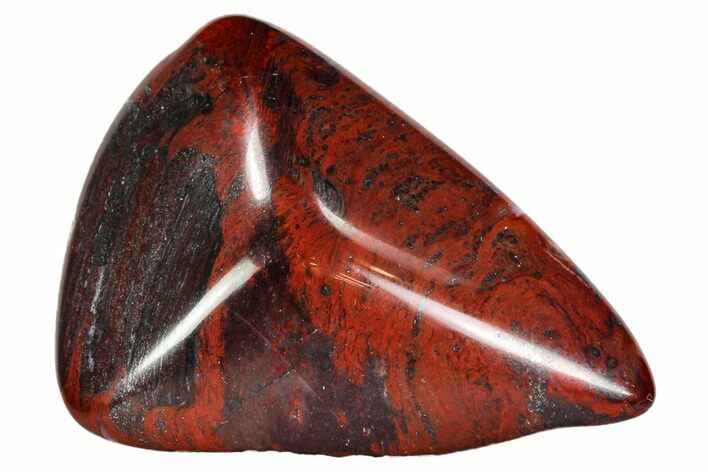Polished Stromatolite (Collenia) - Minnesota #108577